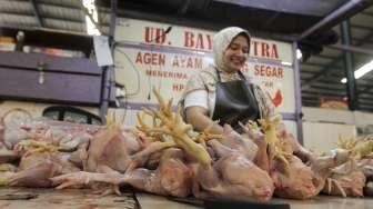 Kebutuhan Pangan Aman, Tapi Harga Daging Ayam di Cianjur Masih Tinggi