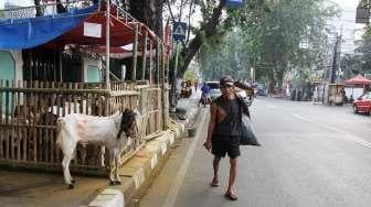 Pedagang hewan kurban di kawasan Cikini, Jakarta, Sabtu (26/8).