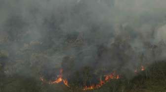 Kebakaran hutan dan lahan di Desa Sungai Rambutan, Indralaya Utara, Ogan Ilir (OI), Sumatera Selatan, Kamis (14/9).