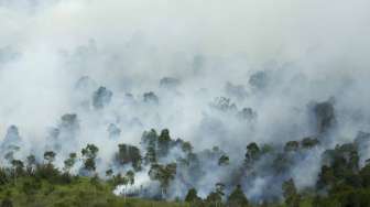 Kebakaran di Gunung Sindoro - Sumbing, BNPB Kerahkan Helikopter