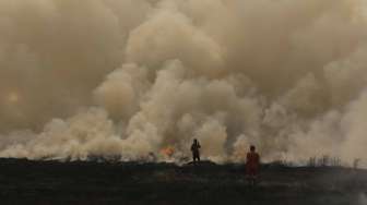 Jelang Asian Games, Ada 45.000 Hektare Lahan Terbakar