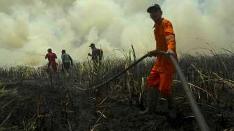 Petugas gabungan dari Manggala Agni Daops Banyuasin dan TNI melakukan pemadaman kebakaran lahan di Desa Muara Baru, Pemulutan, Ogan Ilir (OI), Sumatera Selatan, Senin (25/9).