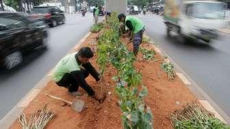 Perbanyak Ruang Terbuka Hijau di Jakarta