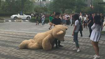 Nyatakan Cinta, Lelaki Ini Beli Boneka Rp20 Juta, Hasilnya?