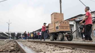 Lutung Jawa sebelum dipindahkan di stasiun kereta, Bandung, Jawa Barat, Selasa (10/10).