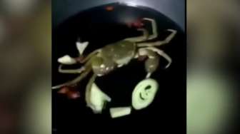 Dimasak, Kepiting Ini Tetap Hidup