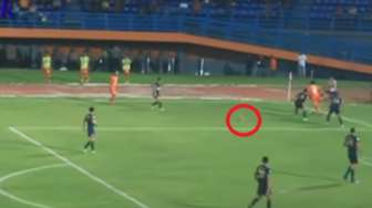 Viral! Kucing Tiduran di Depan Gawang Persela vs Borneo