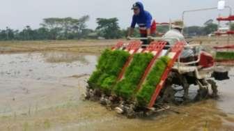 Kementan Prihatin Penggunaan Pestisida Ilegal Ditemukan di Brebes