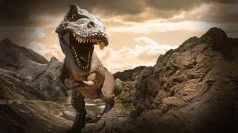 Sebesar Kecoak, Ilmuwan Temukan Fosil Hewan 120 Juta Tahun Mirip T-Rex