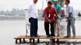 Presiden Joko Widodo meninjau lahan tambak DAN penyerahan izin pemanfaatan lahan tambak Perhutanan Sosial di Desa Pantai Bakti, Muara Gembong, Kabupaten Bekasi, Jawa Barat, Rabu (1/11).