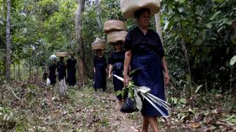 Suku adat Kajang Ammatoa di kawasan hutan adat Kajang Ammatoa, Kabupaten Bulukumba, Sulawesi Selatan. Sabtu (4/11).