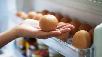 Hari Telur Sedunia, Ini 7 Fakta Menariknya Lho