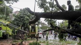 Pohon tumbang yang merobohkan sebuah tiang lampu jalan raya dan menimpa sebuah mobil mewah di Jalan Purworejo, Menteng, Jakarta, Senin (27/11).