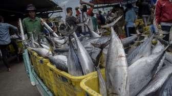 Efektivitas Bantuan Pemerintah untuk Perikanan Tangkap Laut Harus Dievaluasi