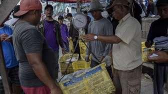 Sejumlah nelayan melakukan bongkar muat hasil tangkapan ikan di Pelabuhan Muara Angke, Jakarta, Senin (4/12).