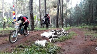 Upgrade Kokpit Biar Makin Gagah! 5 Rekomendasi Stang MTB Terbaik 2025 Mulai 100 Ribuan