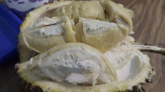 Tutup Big Bang Jakarta dengan Menyantap Durian, Yahut!