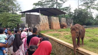 Libur Natal dan Tahun Baru ke Ragunan, Siap-siap Berdesakan