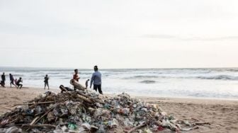 Sekitar 30 Ton Sampah Diangkut Dari Pantai Kuta, 70 Persen Plastik