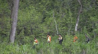 Pemantauan Hutan Gunung Agung