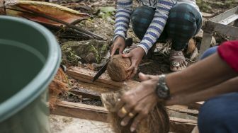 Produk industri minyak kelapa berbasis home-industri di Kampung Teluk Alulu, Pulau Maratua, Berau, Kalimantan Timur, Jumat (12/1). 