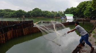 Danau Sunter, Jakarta, Kamis (18/1).