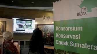 Pameran seni Badak Sumatera yang bertajuk 'Harta Karun Tersembunyi Indonesia' di Perpustakaan Nasional Indonesia, Jakarta, Jumat (19/1). 