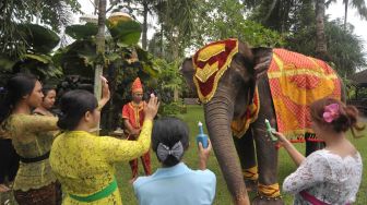 Ritual Hari Tumpek Kandang