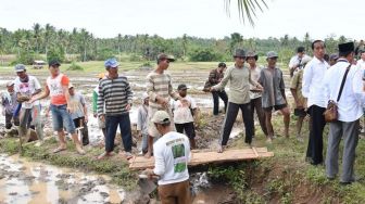 Presiden Joko Widodo meninjau pelaksanaan Program Padat Karya Tunai di Kecamatan Penengahan, Lampung Selatan, Provinsi Lampung, Minggu (21/1/2018).[Foto: Setpres]