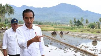 Presiden Joko Widodo meninjau pelaksanaan Program Padat Karya Tunai di Kecamatan Penengahan, Lampung Selatan, Provinsi Lampung, Minggu (21/1/2018).[Foto: Setpres]