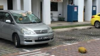 Mobil Ini Rusak Tertimpa Nangka, Padahal Tak Ada Pohon Nangka