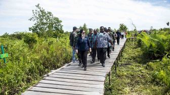 Menteri Kesehatan Nila DF Moeloek (kiri) didampingi Bupati Asmat Elisa Kambu (kedua kiri) melihat lahan yang akan dibangun rumah sakit di Agats, Kabupaten Asmat, Papua, Kamis (25/1).