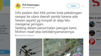 Gara-gara Ayam, Listrik se-Pekalongan Mati