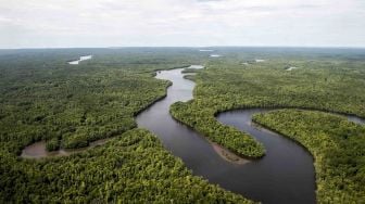 Foto udara sungai berkelok membelah hutan di Kabupaten Mimika, Papua, Senin (29/1). 