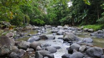 Dongkrak Wisatawan, Gunung Sasak Akan Dijadikan Destinasi Wisata