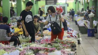 Pembeli memilih bunga di Pasar Bunga Rawa Belong, Jakarta Barat, Selasa (13/2). 