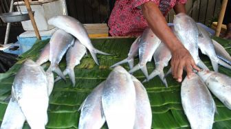 Penjualan Ikan Bandeng Meningkat