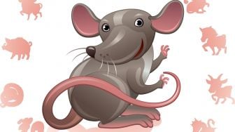 Shio Hari Ini, Minggu 14 Agustus 2022: Tikus Harus Belajar Kelola Emosi!