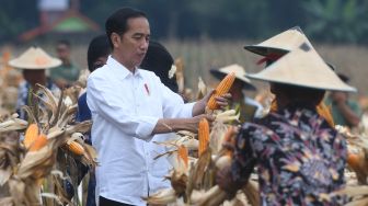 4 Tahun Jokowi - JK Pimpin Indonesia, Inflasi Jadi Lebih Rendah