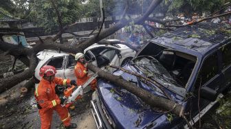 Mobil Tertimpa Pohon Tumbang, Suyanto Tewas saat Masih Pegang Setir