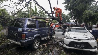 Petugas Damkar dibantu petugas PPSU melakukan evakuasi dua mobil yang ringsek akibat tertimpa pohon tumbang di Jalan Jatinegara Kaum, Jakarta, Kamis (22/3). 