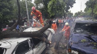 Petugas Damkar dibantu petugas PPSU melakukan evakuasi dua mobil yang ringsek akibat tertimpa pohon tumbang di Jalan Jatinegara Kaum, Jakarta, Kamis (22/3). 