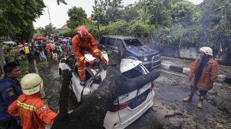 Antisipasi Bencana Musim Hujan, Warga Jogja Diminta Waspadai Pohon Tumbang