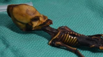 Ilmuwan Pecahkan Misteri Mumi Alien di Chile