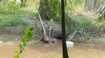 Dikira Tewas, Lelaki Ini Tidur di Sungai