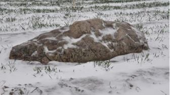 Inilah Gunung Terkecil di Dunia, Tingginya Cuma 0,6 Meter