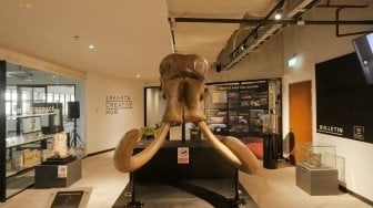 Begini Kerennya Pameran Koleksi Museum Geologi