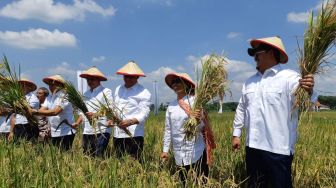 Menteri BUMN Pantau Penyerapan Gabah Petani oleh PT Pertani