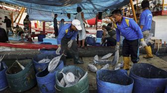 Nelayan menyortir ikan-ikan laut yang telah dibekukan di kawasan Pelabuhan Perikanan Muara Baru, Jakarta, Rabu (4/4). 