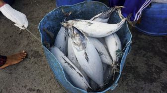 Indonesia Pasok Ikan Beku ke Amerika Serikat